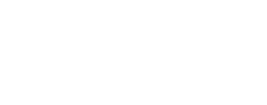 Feniks Gastro & AGD logo